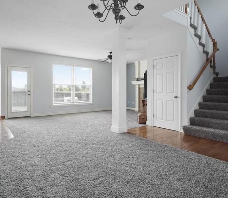 Residential House Painter