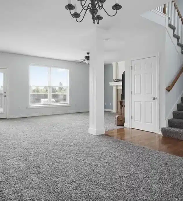 Residential House Painter